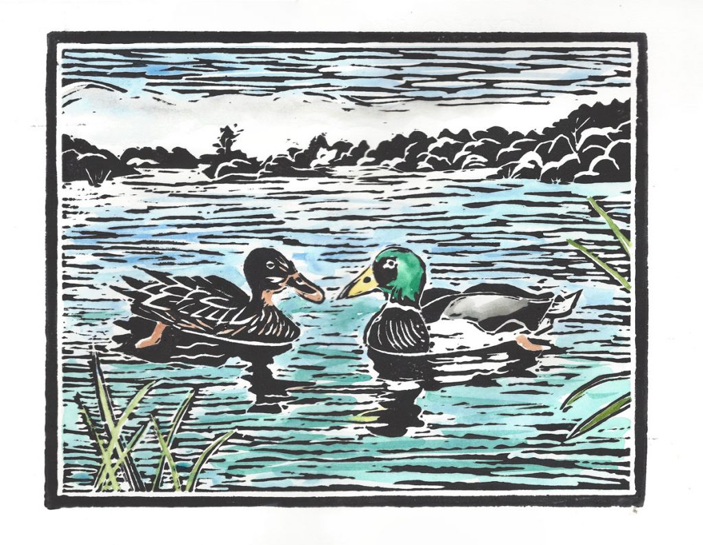 block print of a Mallard pair on a pond