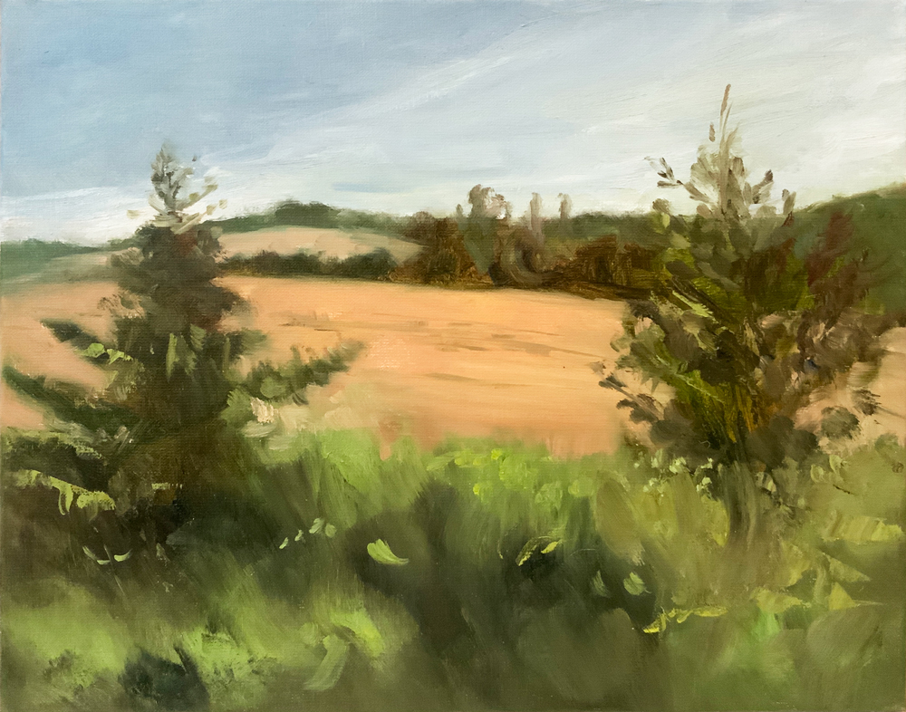 oil painting of an orange field by Meryl Enerson